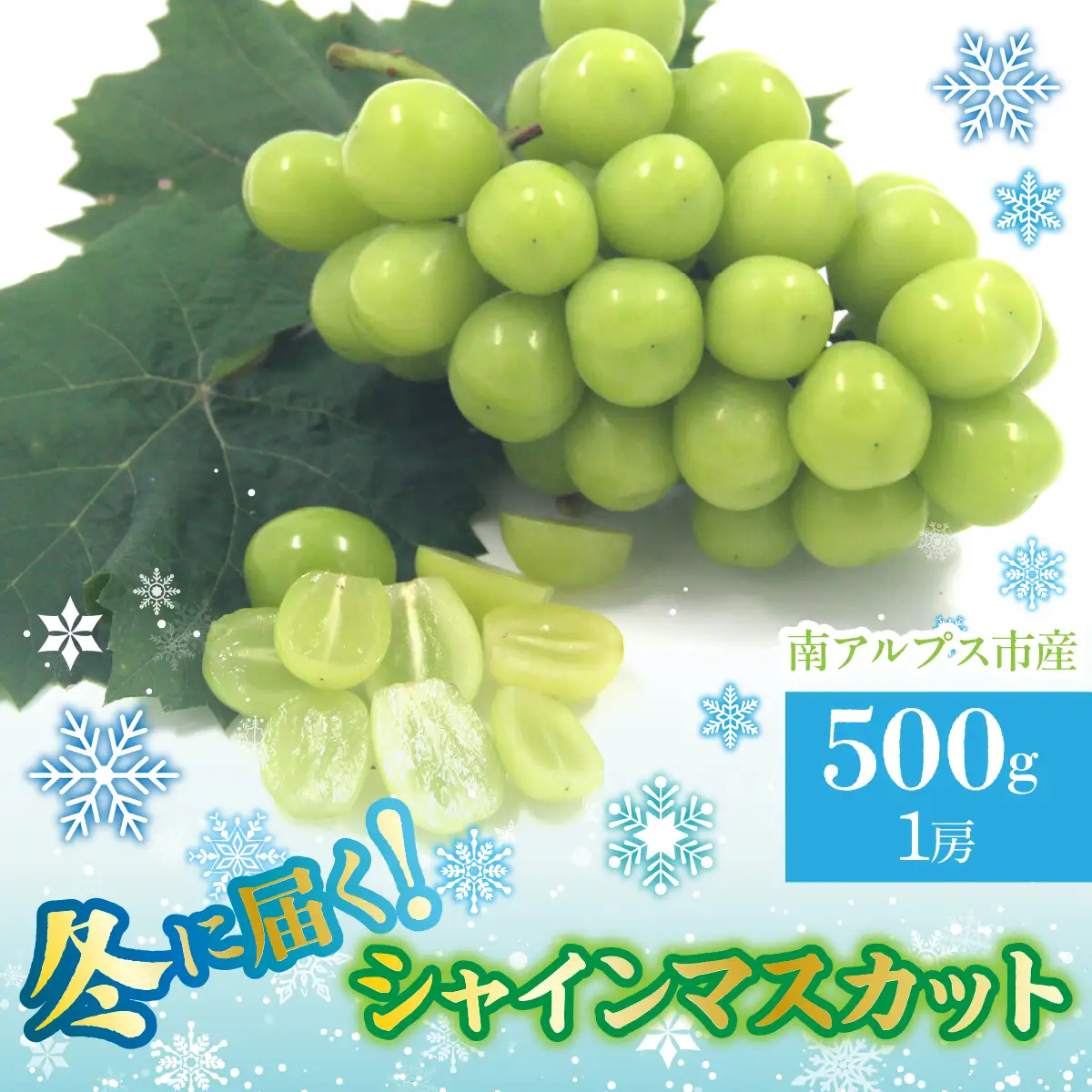 【2026年発送先行予約】南アルプス市産　冬に届くシャインマスカット　1房(約500g） ALPDD025