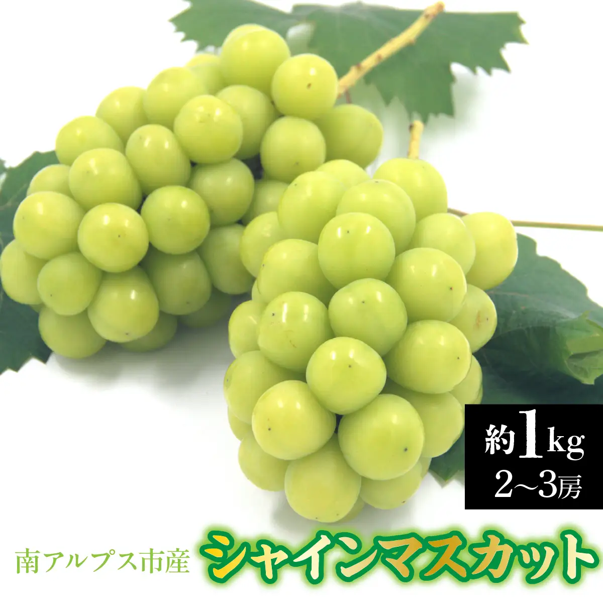 【2026年発送先行予約】南アルプス市産　シャインマスカット　約1.0kg（２～3房） ALPDD026