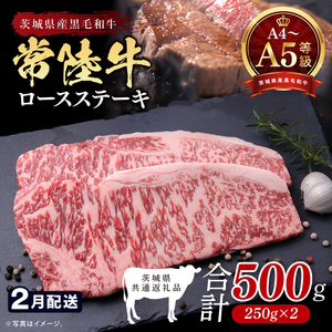 【茨城県共通返礼品】【2027年2月発送予定】最高級A4.A5ランク 常陸牛ロースステーキ500ｇ（250ｇ×2）【人気肉 お肉 牛肉 和牛 黒毛和牛 国産黒毛和牛 ロース肉 ステーキ 国産牛 焼肉 焼き肉 バーベキュー BBQ A5 ブランド牛】(CR101-2)