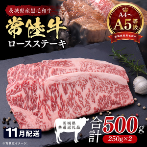 【茨城県共通返礼品】【2026年11月発送予定】最高級A4.A5ランク 常陸牛ロースステーキ500ｇ（250ｇ×2）【人気肉 お肉 牛肉 和牛 黒毛和牛 国産黒毛和牛 ロース肉 ステーキ 国産牛 焼肉 焼き肉 バーベキュー BBQ A5 ブランド牛】(CR101-11)