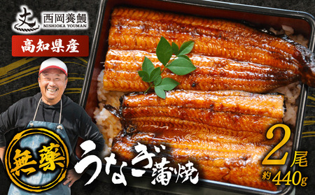 【 うなぎの蒲焼き 】国産 うなぎの蒲焼 440g ( 220g × 2尾 ) 
