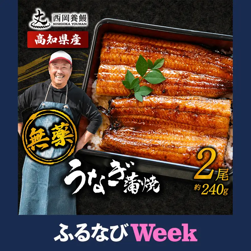 【ふるなびWEEK対象】【 うなぎの蒲焼き 】国産 うなぎ蒲焼 240g ( 120g × 2尾 ) 