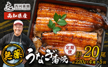 【 うなぎの蒲焼き 】 うなぎの蒲焼 定期便 計20尾 ( 220g × 4尾 × 5回 )