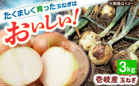 玉ねぎ 3kg [JHC003] タマネギ 野菜