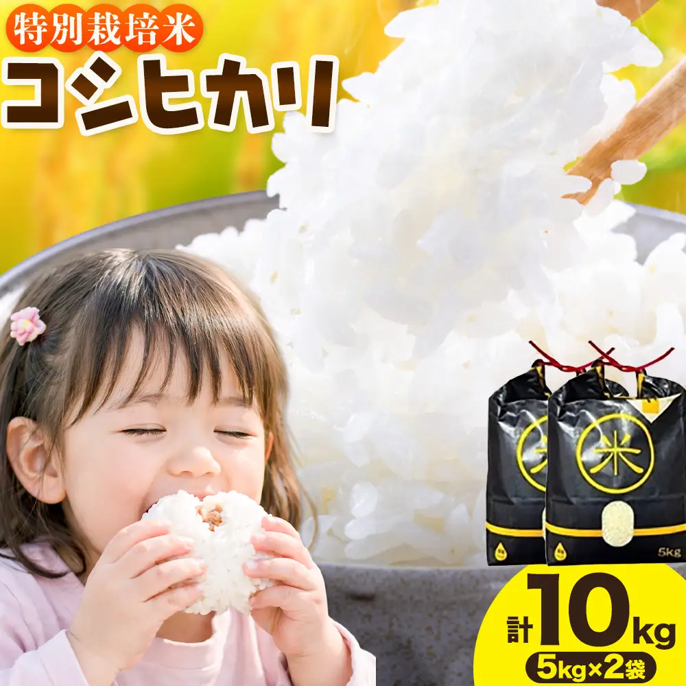 令和7年産 特別栽培米 白米 コシヒカリ 10kg(5kg×2) 