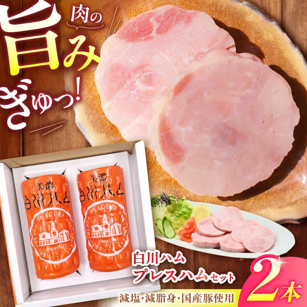 白川ハム プレスハム 2本セット 計760g / 白川町農業開発[AWAH031]ハム