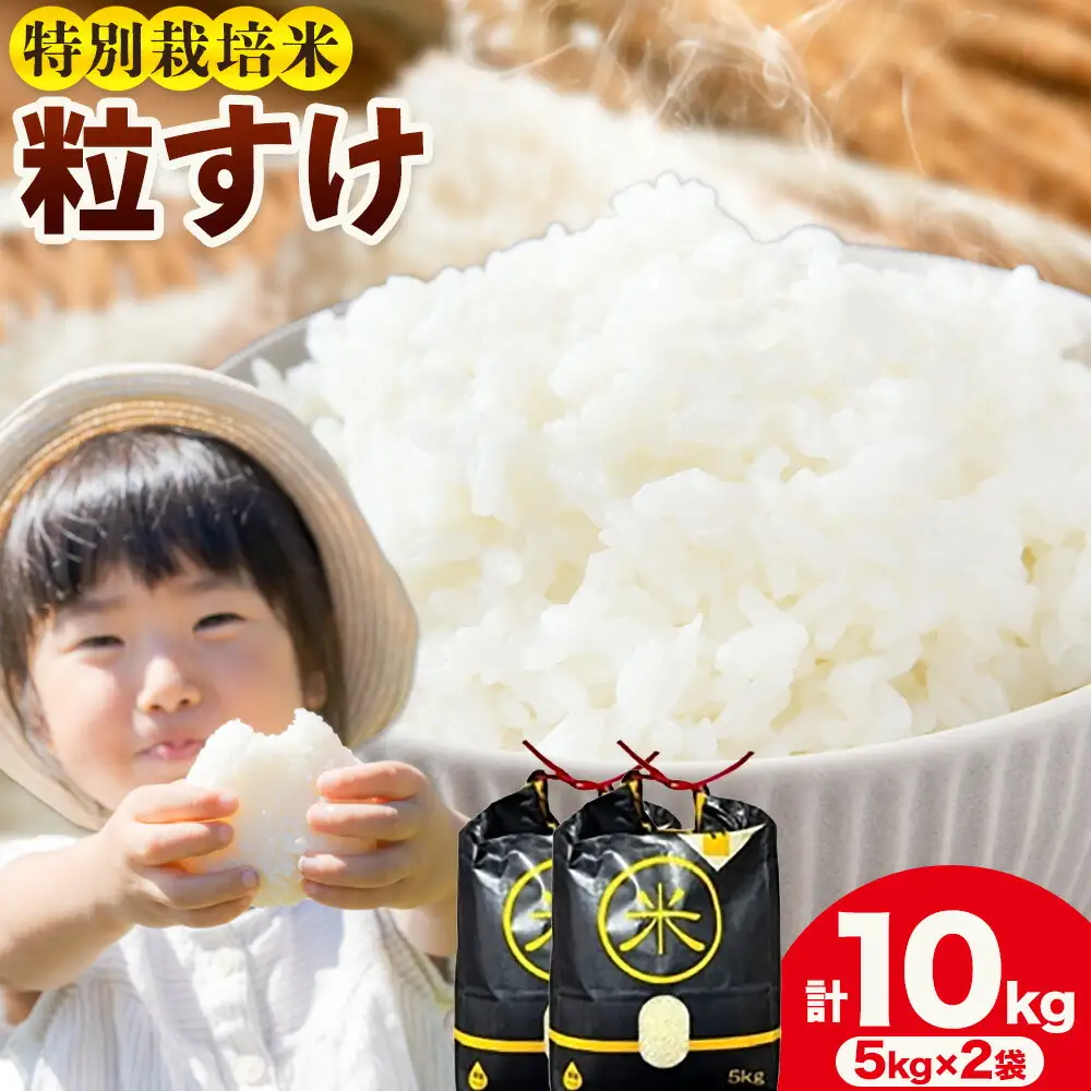 令和7年産 特別栽培米 白米 粒すけ 10kg(5kg×2) 