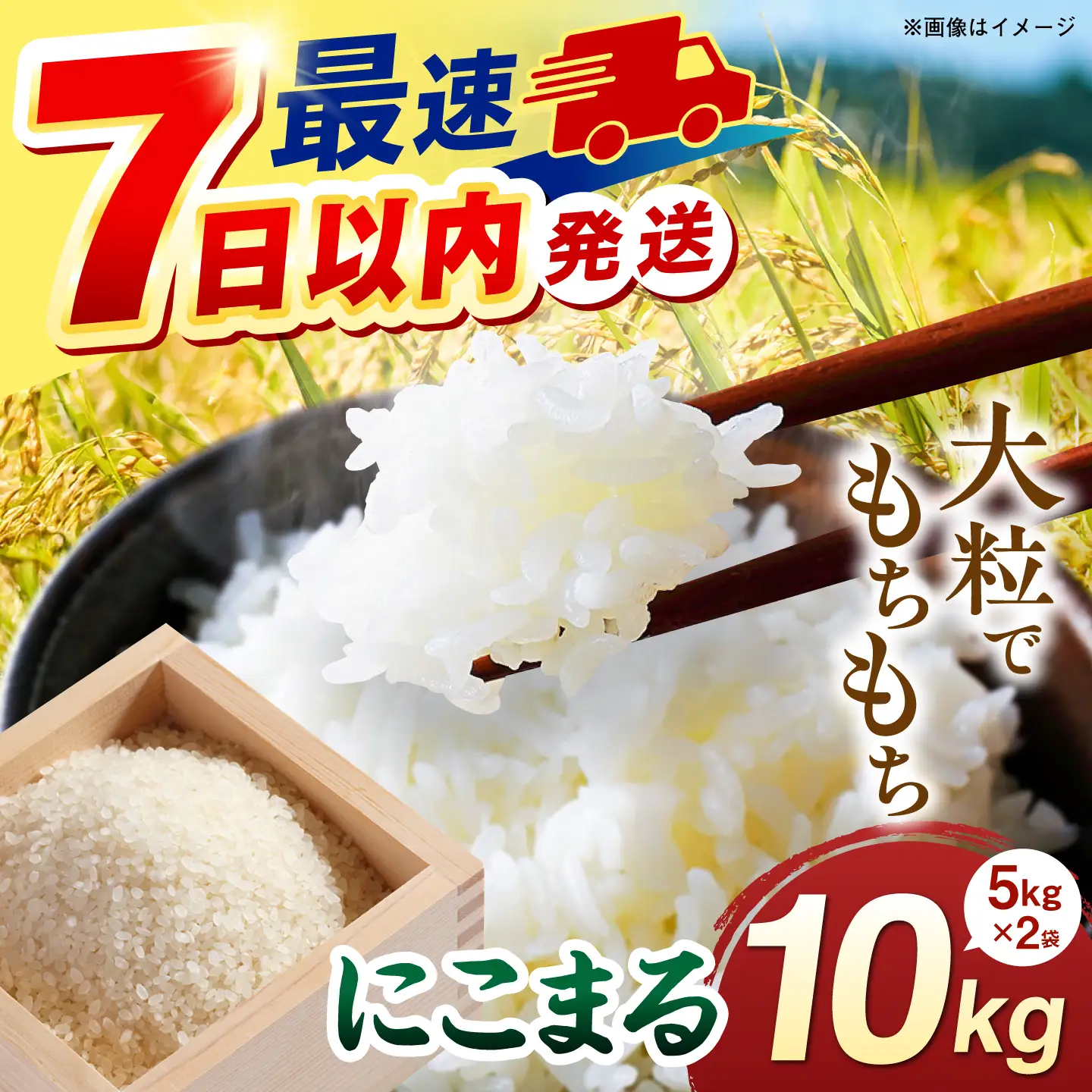 【令和7年産】【スピード発送】にこまる  白米 10kg(10キロ) 糸島市産 糸島市 / 糸島の恵み [AGR002] お米 