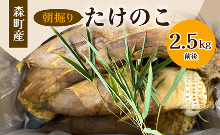 【2027年3月下旬より順次発送】森町産朝掘りたけのこ2.5kg前後 たけのこ 筍 タケノコ 春の味覚 こだわり 朝堀り 当日出荷 かぐや姫 甘い 静岡県 森町