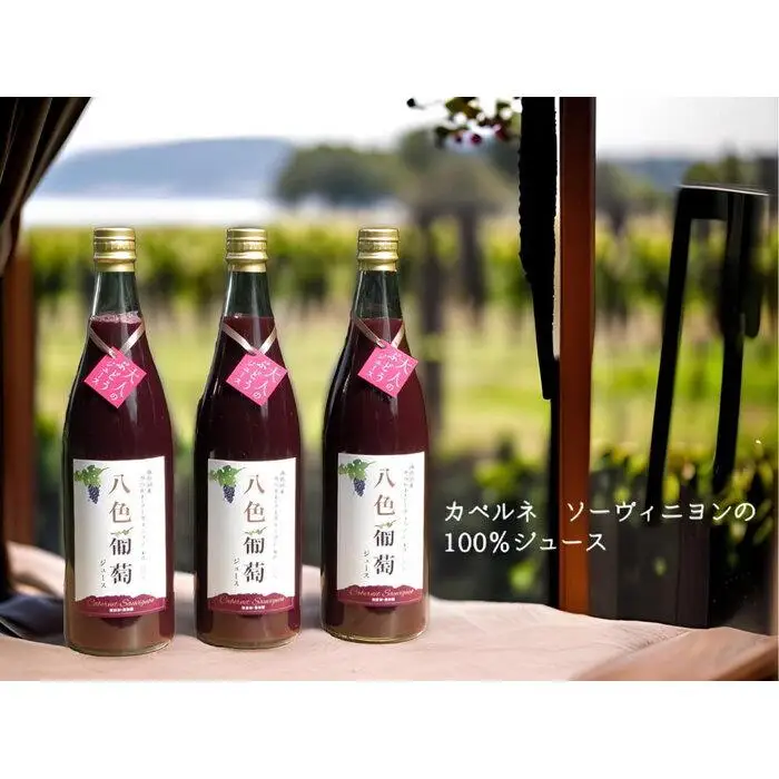 カベルネ・ソーヴィニヨン 八色葡萄ジュース３本セット | ジュース