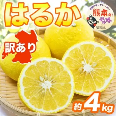 はるか みかん 訳あり 約4kg(益城町)【1723661】