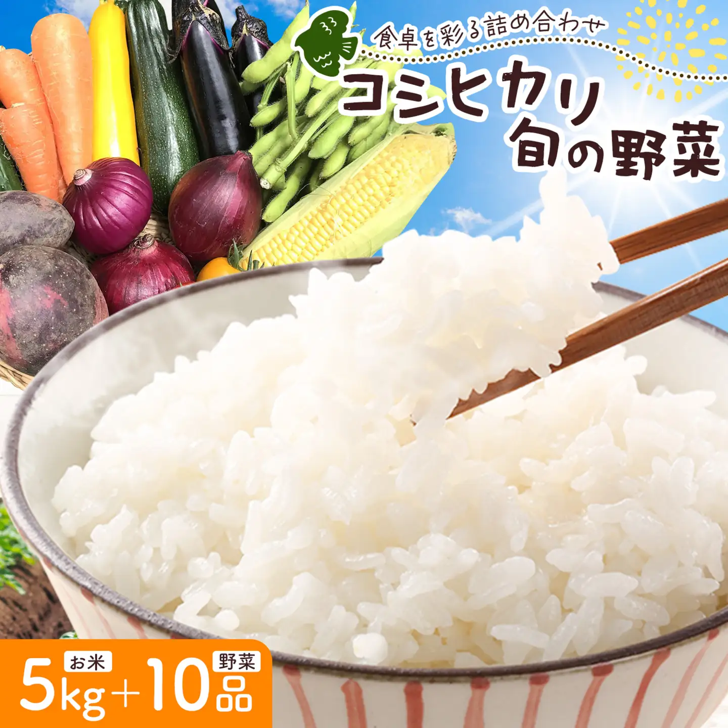 令和7年産 コシヒカリ 5kg ＆ 旬の野菜 10品