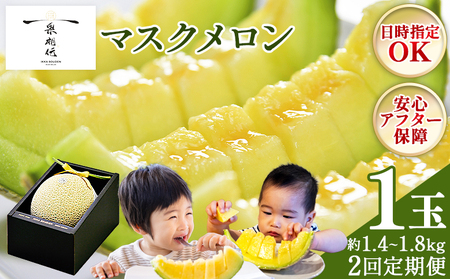 【２回定期便】マスクメロン（贈答用） 1玉入 青肉品種 高級メロン！ ／ マスクメロン 果物 フルーツ ギフト 農家直送 Wtn-0058