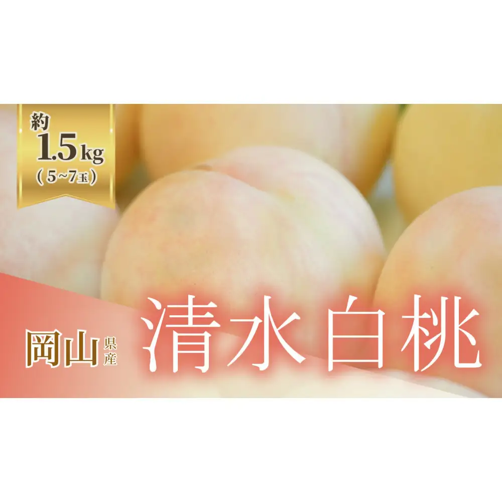 《2027年発送》岡山県産 清水白桃 1.5kg 5～7玉