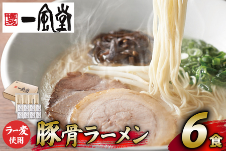 ラーメン 一風堂 とんこつラーメン 白丸 ラー麦麺 スープ 6食 セット