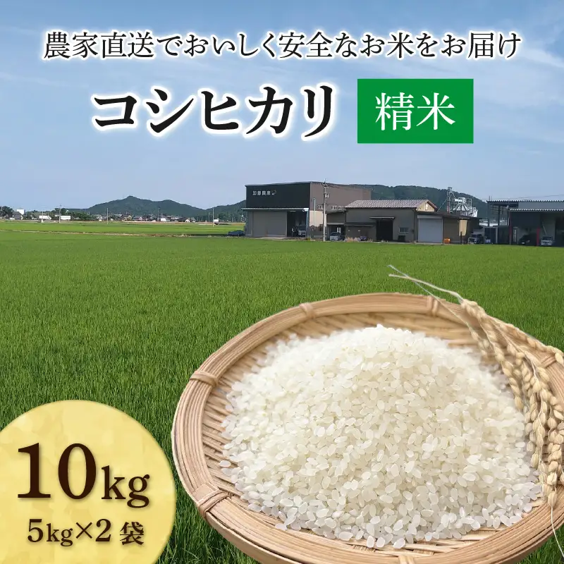 【先行予約】【令和8年産 新米】コシヒカリ 精米 10kg（5kg×2袋）JGAP認証米 / 米 10キロ 福井県産 ブランド米 一等米 ご飯 白米 お米 コメ 新鮮 小分け ※2026年10月上旬より順次発送 [aw094-b003]