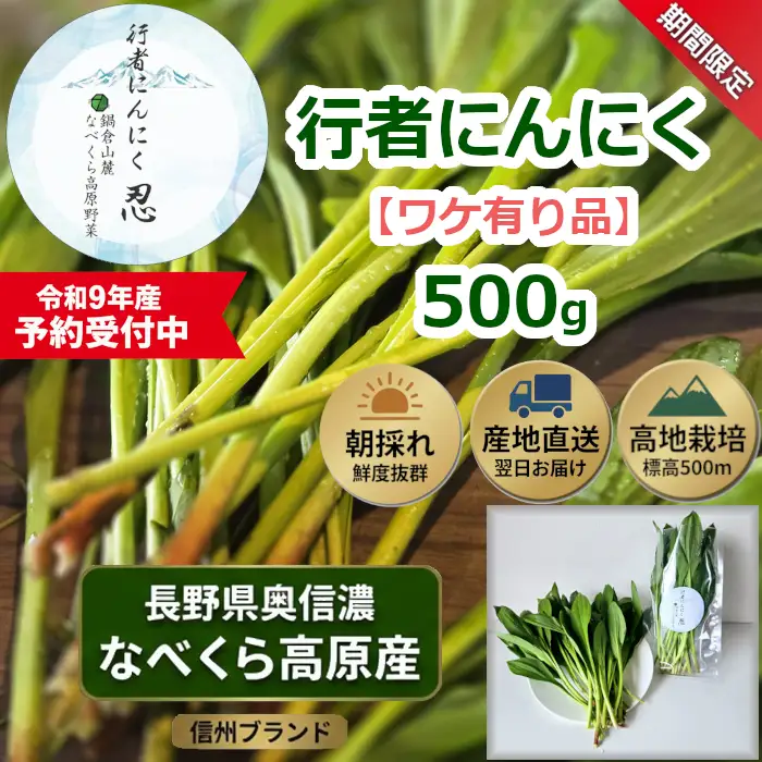 【令和9年産先行予約】＼訳あり／行者にんにく 忍 500g入り 1箱(70枚～75枚)《出荷時期：2027年5月中旬頃〜》株式会社ForestDoor (Ce-014)