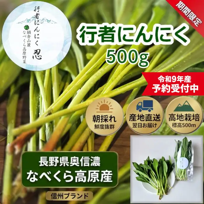 【令和9年産先行予約】行者にんにく 忍 500ｇ入り　1箱(70枚～75枚)《出荷時期：2027年5月中旬頃〜》株式会社ForestDoor (Ce-012)