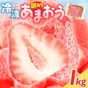 【2027年3月より順次発送】増永農園 訳あり冷凍あまおう 1kg _ あまおう いちご  〔Fi081-02〕