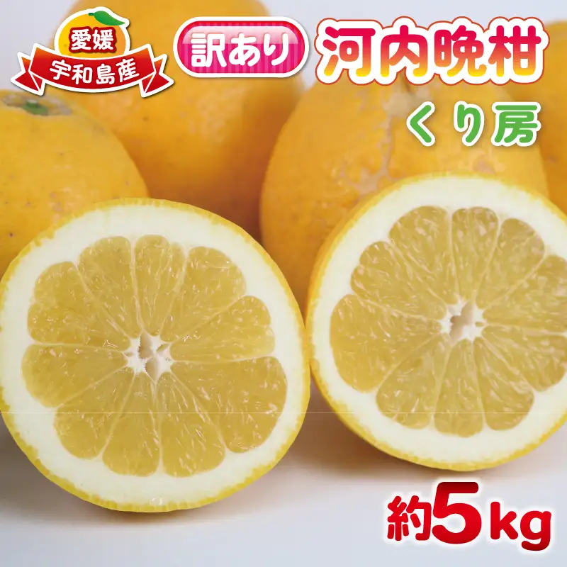 訳あり 河内晩柑 約 5kg くり房 柑橘 B010-204010