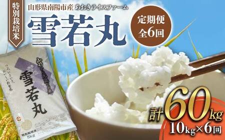 【金賞受賞農家】 《定期便6回》 令和7年産 特別栽培米 雪若丸 計10kg(5kg×2袋)×6か月 『あおきライスファーム』 山形南陽産 米 白米 精米 ご飯 山形県 南陽市 [2667]