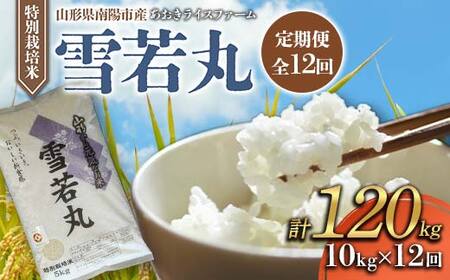 【金賞受賞農家】 《定期便12回》 令和7年産 特別栽培米 雪若丸 計10kg(5kg×2袋)×12か月 『あおきライスファーム』 山形南陽産 米 白米 精米 ご飯 山形県 南陽市 [2668]