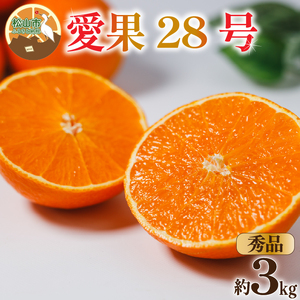 【秀品】 愛果28号 (紅まどんな と同品種) 約3kg 【2026年12月中旬頃から順次発送】 | あいか 愛果28号 紅まどんな と同品種 みかん 柑橘 アイカ 先行予約 ミカン かんきつ 果物 フルーツ おすすめ 蜜柑 送料無料 愛媛県 松山市 こうの農園【KNN006】