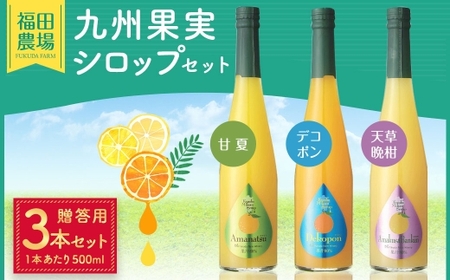 【 贈答用 】 九州果実シロップ 3本セット （ 甘夏 、 デコポン 、 天草晩柑 ） 贈答品 プレゼント ギフト シロップ フルーツシロップセット フルーツシロップ フルーツ くだもの 果物