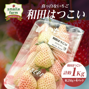 スマイルファーム 真っ白ないちご 和田はつこい 約1kg  FAF-0044