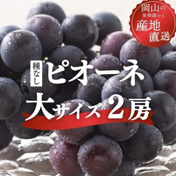 ご家庭用 特大ピオーネ2房 計1.3kg～ 種無し ピオーネ 【KF-B064-01】