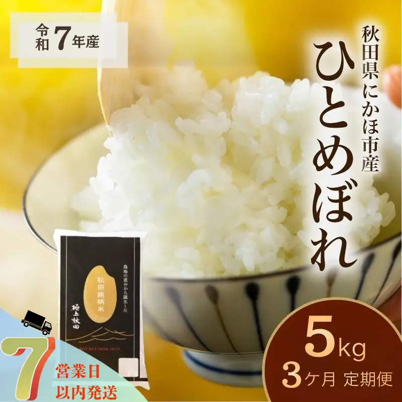 【3ヵ月定期便】ひとめぼれ 5kg 白米 令和7年産 ひとめぼれ 