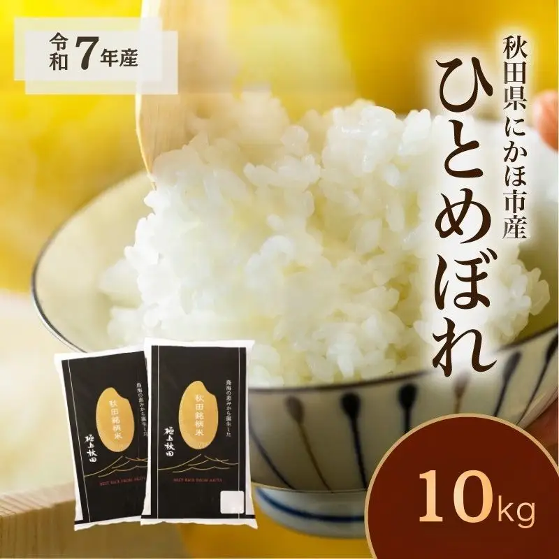 白米 ひとめぼれ 10kg 令和7年産 ひとめぼれ