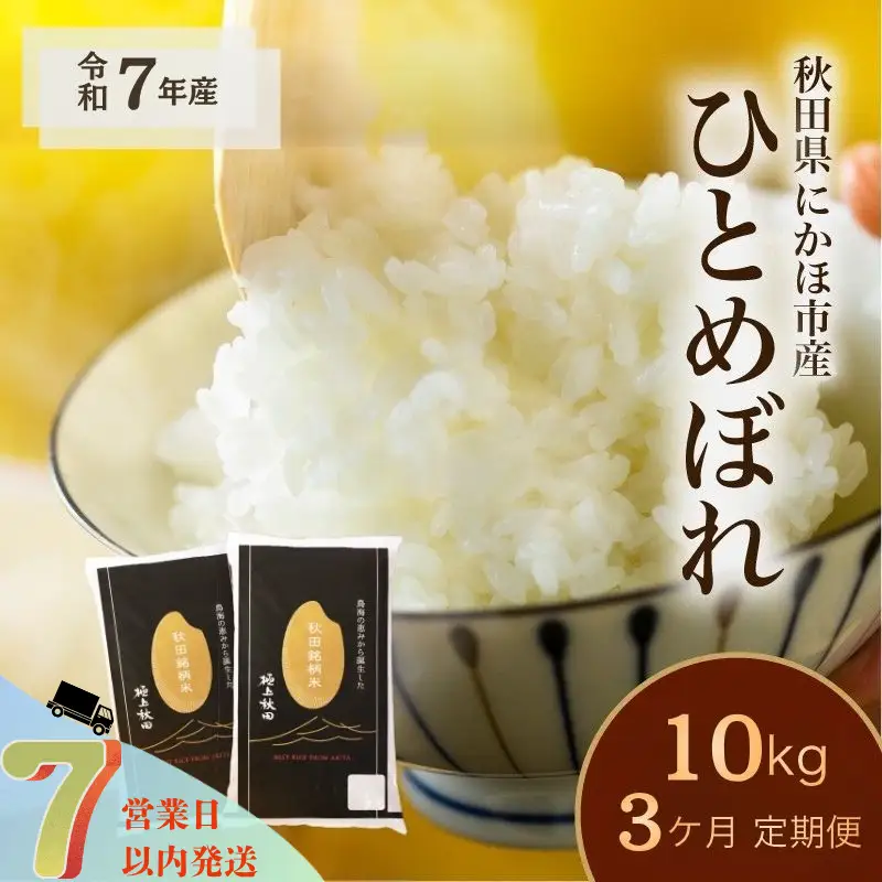 【3ヵ月定期便】ひとめぼれ 10kg 白米 令和7年産 ひとめぼれ