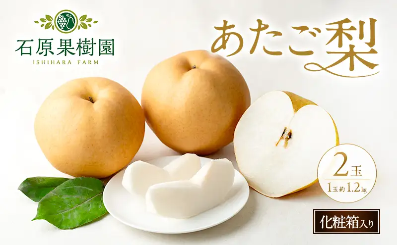 梨 2026年 先行予約 あたご梨 2玉 (1玉 約1.2kg) 化粧箱 【11月下旬～12月中旬頃発送】  岡山県産 梨