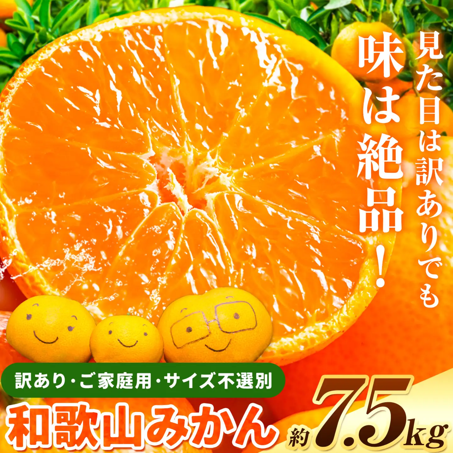 みかん 訳あり 和歌山みかん 約7.5kg