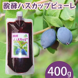 醗酵ハスカップピューレ 400g EB8-0376