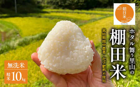 無洗米 先行受付 ホタル舞う里山の棚田米 精米10kg 朝日 2kg×5袋 米 無洗米