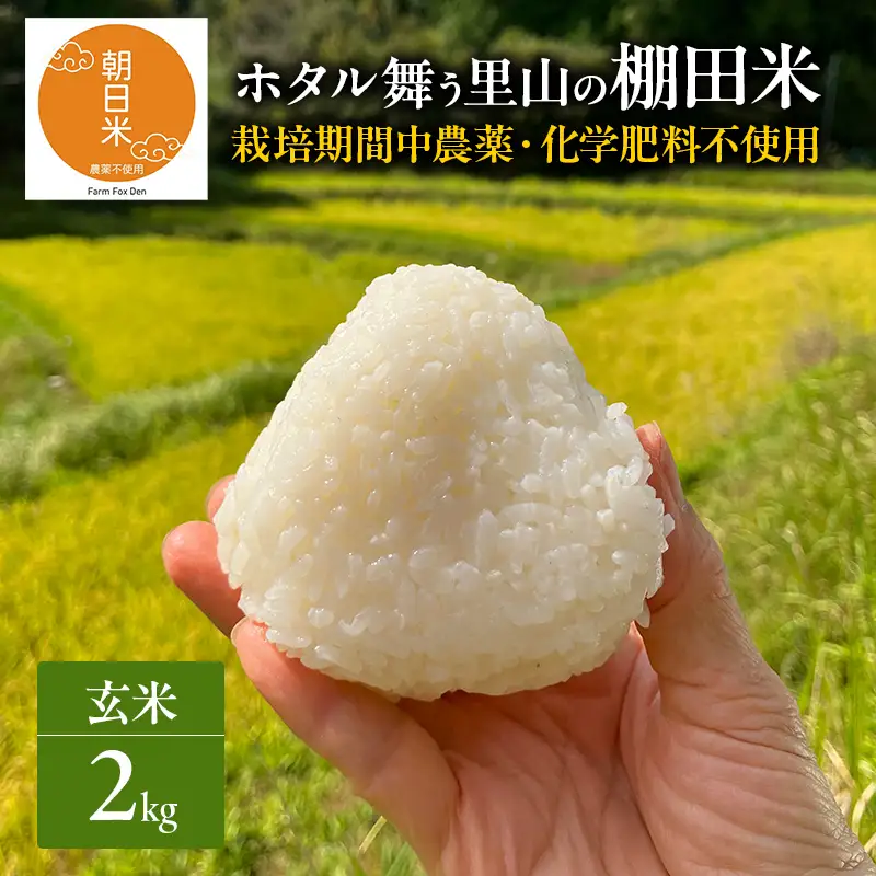 玄米 先行受付 ホタル舞う里山の棚田米 2kg 朝日 2kg×1袋 米 玄米