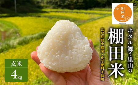 先行受付 農薬不使用 ホタル舞う里山の棚田米 玄米4kg 令和8年産 朝日2kg×2袋