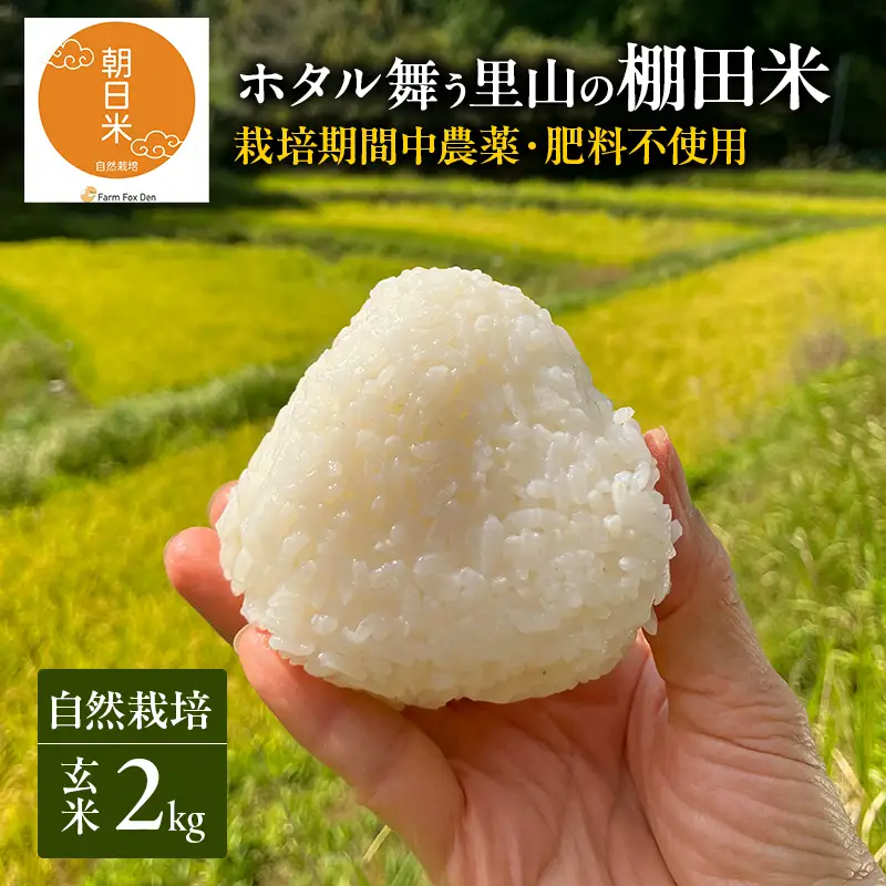 玄米 自然栽培 棚田米 玄米 2kg 令和8年産 朝日 2kg×1袋