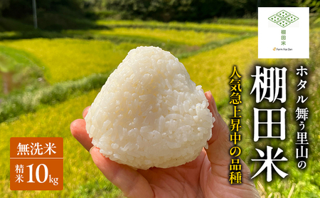 にじのきらめき 棚田米 無洗米 岡山県産 にじのきらめき 【2kg×5袋10kg】【 先行受付 令和8年産】