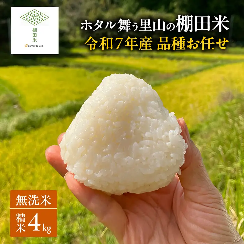 棚田米 品種お任せ 無洗米 岡山県産 棚田米【 精米 4kg(2kg×2袋)】【令和7年産】