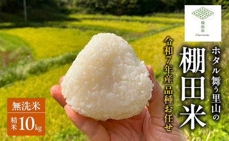 棚田米 品種 お任せ 無洗米 岡山県産 棚田米 【 精米 10kg(2kg×5袋)】【令和7年産】