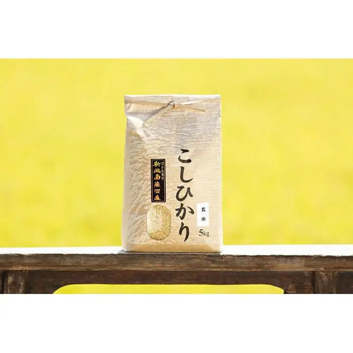 【令和8年産 新米予約 全12回定期便】南魚沼産コシヒカリ 玄米5kg×12回 新潟県の特A地区南魚沼市の美味しいお米【定期便 銘柄米 ブランド米 玄米 こしひかり コシヒカリ】【2026年11月上旬から1ヶ月以内に順次発送予定】