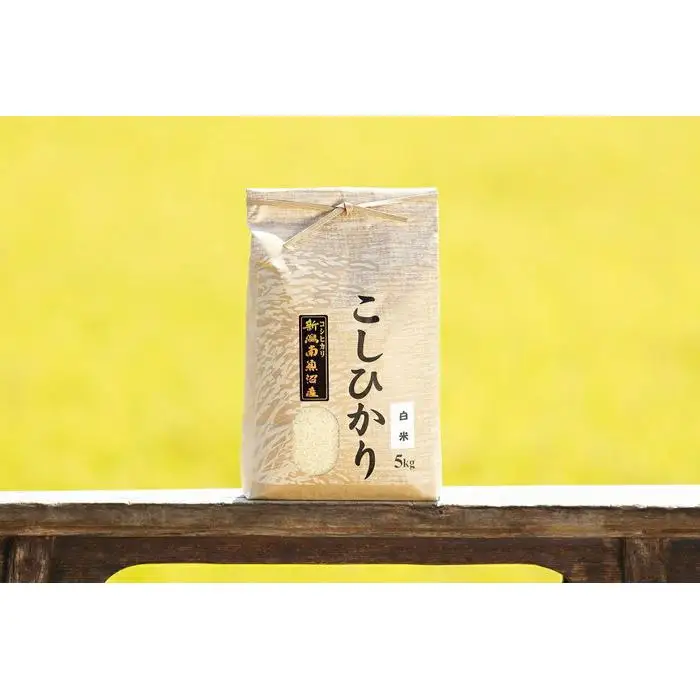 【令和8年産 新米予約 全12回定期便】南魚沼産コシヒカリ 白米5kg×12回 新潟県の特A地区南魚沼市の美味しいお米【定期便 銘柄米 ブランド米 精米 こしひかり コシヒカリ】【2026年11月上旬から1ヶ月以内に順次発送予定】
