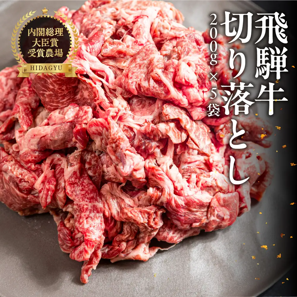 飛騨牛 切り落とし 200g×5袋 　計1kg【22-47】