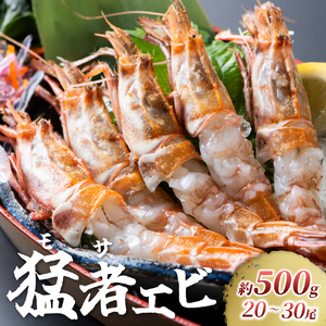 【先行予約】幻のえび モサエビ約500g｜鳥取 岩美 海老 エビ えび 幻のえび 先行予約 冷蔵【23006】