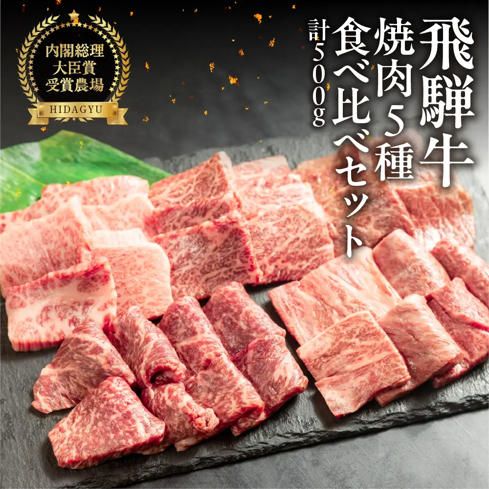 飛騨牛 焼肉 5種 食べ比べセット（各100g）計500g （カルビ・肩・モモ・ロース・トモサンカク）【22-53】