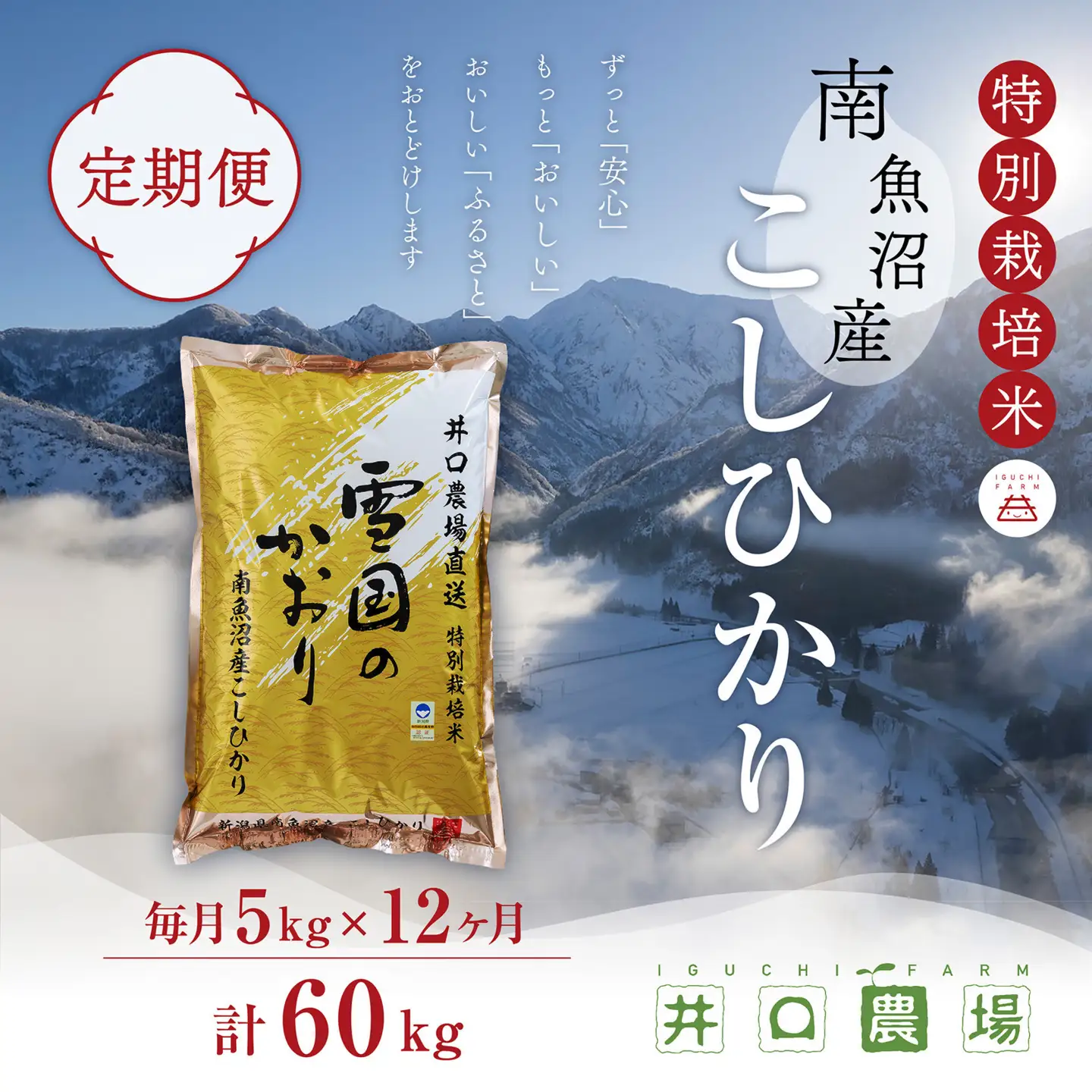 【令和７年産】【定期便】５kg×12ヶ月　南魚沼産コシヒカリ 井口農場 こだわりの 特別栽培米｜定期便