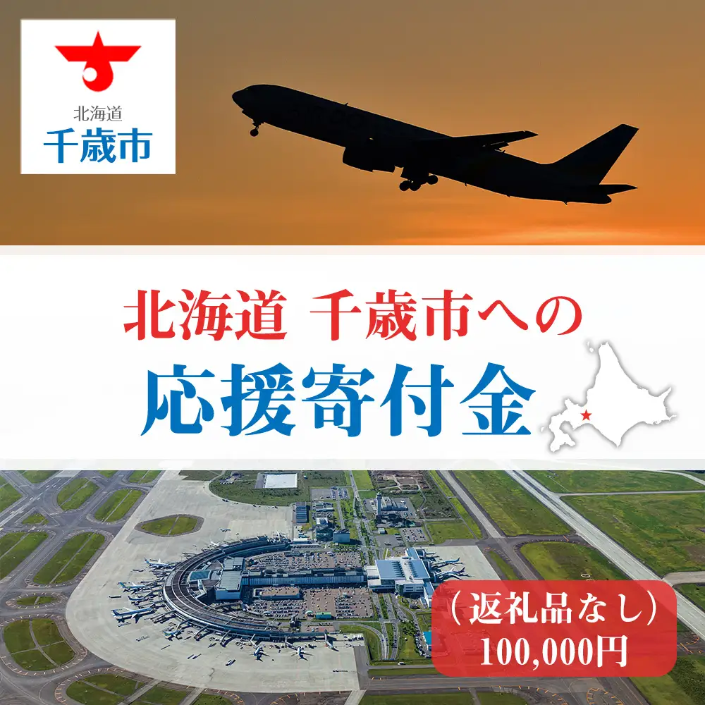 北海道 千歳市☆応援寄付金☆【返礼品なし】100,000円